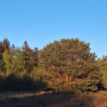 Διαμέρισμα Happy Place Is Modern En Comfortabel Met Grote Afgesloten Tuin Op De Veluwe, Recreatiepark De Oude Driest