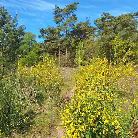 Happy Place Is Modern En Comfortabel Met Grote Afgesloten Tuin Op De Veluwe, Recreatiepark De Oude Driest بوتِنْ